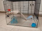 hamsterkooi met glazen bak, Dieren en Toebehoren, Knaagdieren, November, Meerdere dieren, Hamster