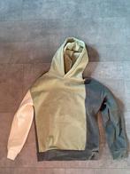 Colorblock hoodie maat 146, Enfants & Bébés, Vêtements enfant | Taille 146, Garçon, Fish & Chips, Enlèvement ou Envoi, Pull ou Veste