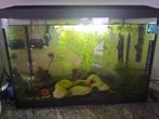 Aquarium met garnalen en alle toebehoren, Dieren en Toebehoren, Januari, Meerdere dieren