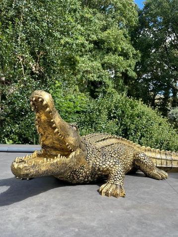 Beeld krokodil, tuin, zwembad, vijver, woonkamer 100cm beschikbaar voor biedingen