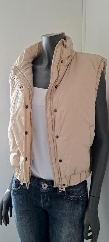 Bodywarmer Veritas beschikbaar voor biedingen