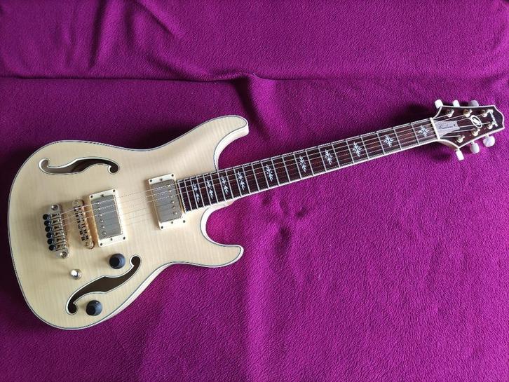 Ibanez awd102nt, Muziek en Instrumenten, Snaarinstrumenten | Gitaren | Elektrisch, Zo goed als nieuw, Semi-solid body, Ibanez