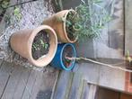 Terracotta potten, Tuin en Terras, Ophalen, Gebruikt, 40 cm of meer, Rond