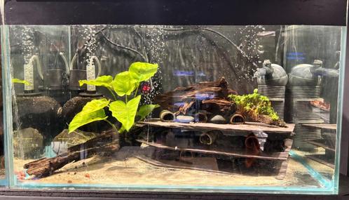 Aquarium kweekbakken (20+) / kweekopstelling, Dieren en Toebehoren, Vissen | Aquaria en Toebehoren, Gebruikt, Leeg aquarium, Ophalen