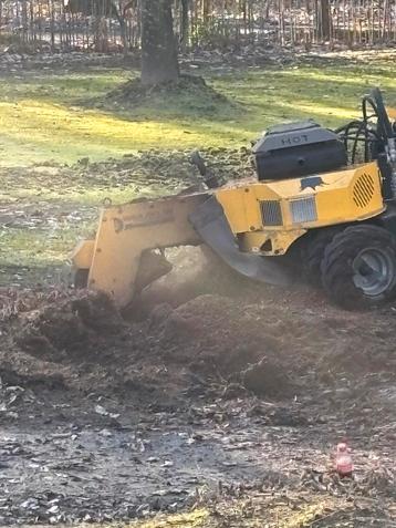 Stronken verwijderen uitfrezen opkuisen tuinen  beschikbaar voor biedingen
