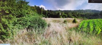 recreatiegrond couvin, Immo, 1500 m² of meer