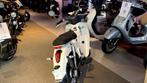 Elektrische scooter MOTRON Cubertino, Ophalen, Motron, Elektrisch, Klasse B (45 km/u)