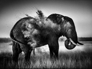 Yellowkorner - Laurent Baheux - Dust Explosion I (100x130cm) beschikbaar voor biedingen
