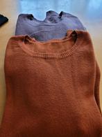 lot van 2 pulls, Kleding | Dames, Ophalen of Verzenden, Zo goed als nieuw, Maat 38/40 (M), Bruin