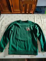Element sweater  - 14 jaar, Trui of Vest, Ophalen of Verzenden, Zo goed als nieuw, Jongen