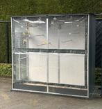 Roseicolli koppel, Ophalen, Zo goed als nieuw