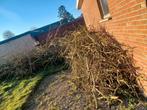 gratis aanmaak of brandhout, Tuin en Terras, Brandhout, Ophalen