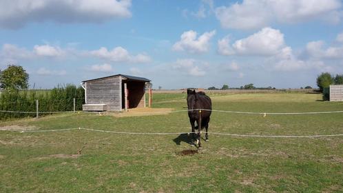 weidegang, ruimte voor 2 paarden of pony's, Dieren en Toebehoren, Stalling en Weidegang, Weidegang, 2 of 3 paarden of pony's