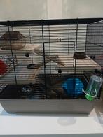 Muizen kooi, Dieren en Toebehoren, Kooi, Gebruikt, Minder dan 75 cm, Hamster