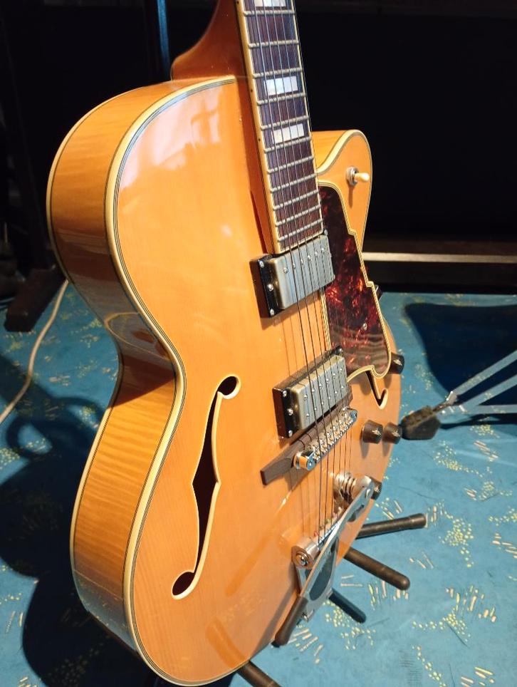 D'Angelico EX 175, Muziek en Instrumenten, Snaarinstrumenten | Gitaren | Elektrisch, Zo goed als nieuw, Hollow body, Overige merken