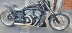 Custom Harley Davidson vrod 2005, vrscb 1250cm, Motoren, 2 cilinders, Particulier, Overig, 1250 cc
