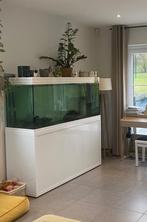 Aquarium Aquatlantis 495L, Ophalen, Gebruikt, Leeg aquarium