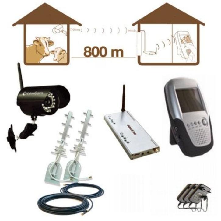 Draadloze Camera en monitor (koe monitor), Dieren en Toebehoren, Overige Dieren, Meerdere dieren, Juli