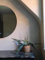 Marakech Walls Old Linen, Doe-het-zelf en Bouw, Verf, Beits en Lak, Ophalen, Beige