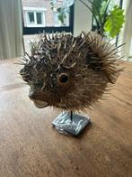 Grote  opgezette kogelvis op staander, Verzamelen, Ophalen, Zo goed als nieuw
