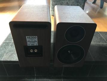 Acoustic Energy AE300