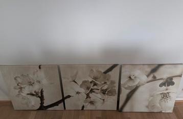 IKEA PJÄTTERYD déco murale, Enlèvement, Comme neuf, 50 à 75 cm, 50 à 75 cm