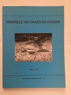 Eikapsels van haaien en roggen, Ophalen of Verzenden, Nieuw