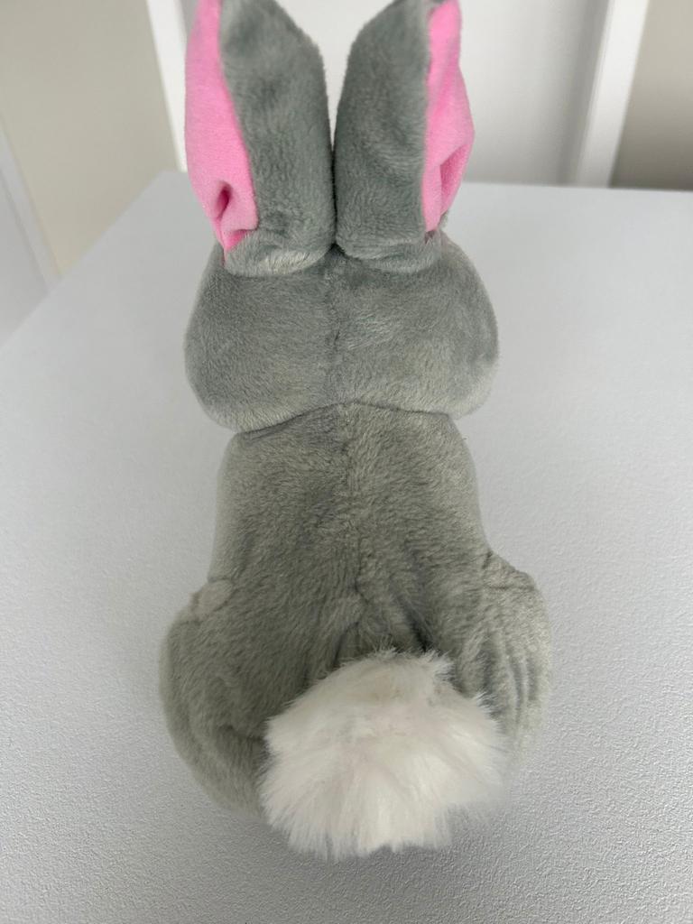 Konijn, Ophalen, Zo goed als nieuw, Konijn