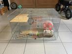 Kooi hamster, Dieren en Toebehoren, Ophalen, Gebruikt, Kooi, Hamster