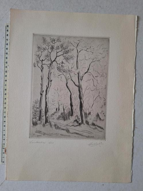 Verfijnde ets van Antoon Herckenrath "landschap ", Antiek en Kunst, Kunst | Etsen en Gravures, Ophalen of Verzenden