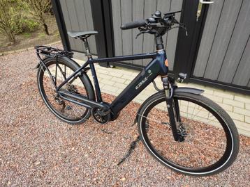 Jools Me'jor Blue +/-2.600 km beschikbaar voor biedingen