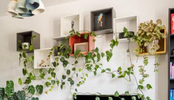 8 Ikea Eket kubussen/wandkasten beschikbaar voor biedingen
