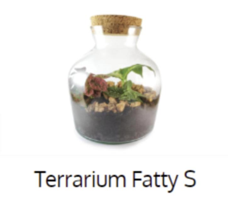 Overname Plantenterrarium (webshop en/of workshops), Zakelijke goederen, Exploitaties en Overnames