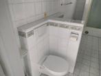 Hang-WC/Hangbidet, Doe-het-zelf en Bouw, Ophalen, Gebruikt