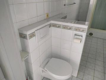 Hang-WC/Hangbidet beschikbaar voor biedingen