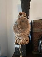 Tête Nazca, 8e siècle. Pièce d’art tribal unique., Ophalen of Verzenden