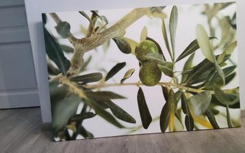 Ikea canvas olijfboom 118x78