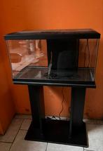 Aquarium 58L, Comme neuf, Aquarium vide