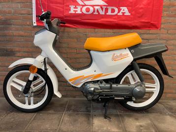 Honda wallaroo beschikbaar voor biedingen