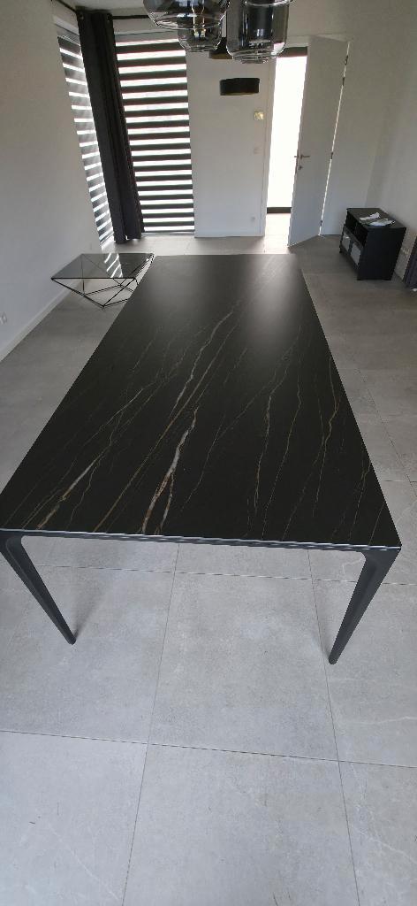 Design eettafel 240x100, Maison & Meubles, Tables | Tables à manger, Comme neuf, 100 à 150 cm, 200 cm ou plus, Cinq personnes ou plus