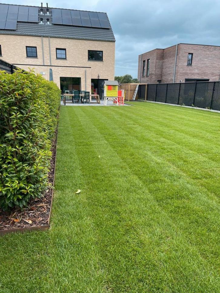 Gras,grasmatten,onkruid,verticuteren, klaver,bemesten,, Jardin & Terrasse, Gazon & Gazon artificiel, Herbe, Enlèvement ou Envoi