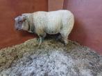 Schapenbok, Dieren en Toebehoren, Schapen, Geiten en Varkens