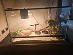 Terrarium, Ophalen, Gebruikt