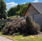 Brandhout,takken dik en dun, Tuin en Terras, Brandhout, Ophalen, Takken
