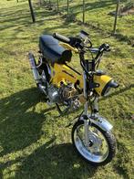 Dax 125cc, Motoren, Motoren | Honda