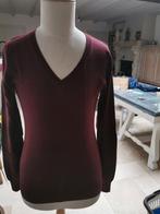 Mooi Bordeaux kleurig truitje van Maison Scotch, Kleding | Dames, Ophalen of Verzenden, Zo goed als nieuw