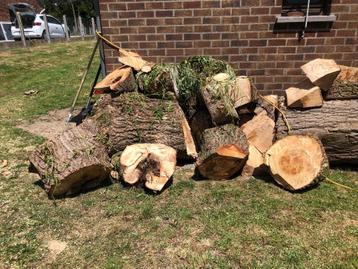 Bois de chauffage beschikbaar voor biedingen
