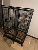 Papegaai kooi, Ophalen, Gebruikt, Metaal, Vogelkooi