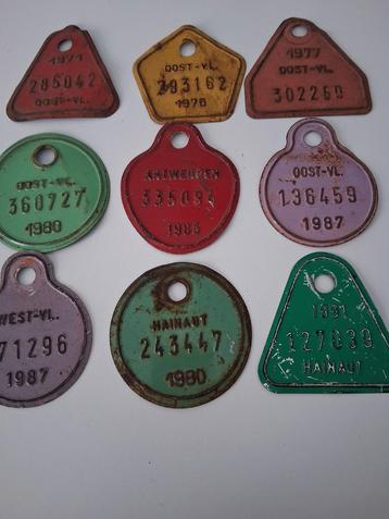 plaques de vélo dans la province du Brabant et autres, Vélos & Vélomoteurs, Enlèvement