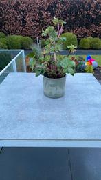 Keramische tafel, Ophalen, Gebruikt